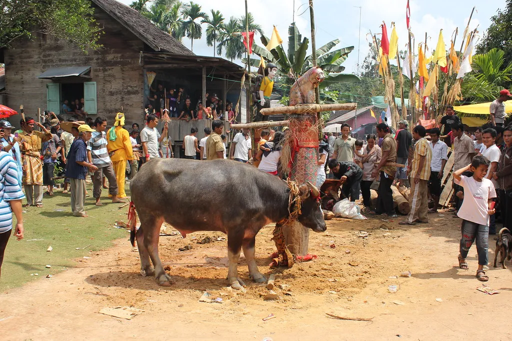 Understanding Dayak Ceremonies: What Every Traveler Should Know Before Visiting a Traditional Village