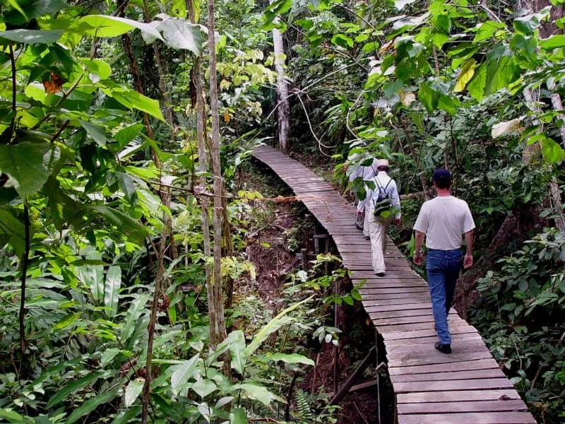 Kutai National Park