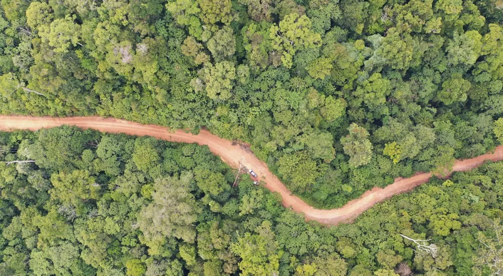 Wehea Forest