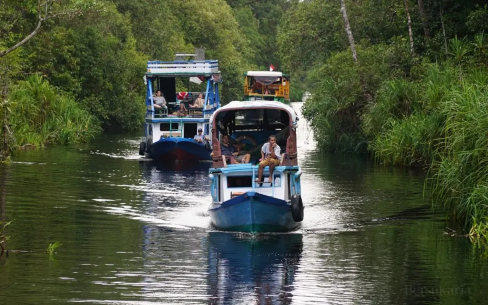 Sekonyer River