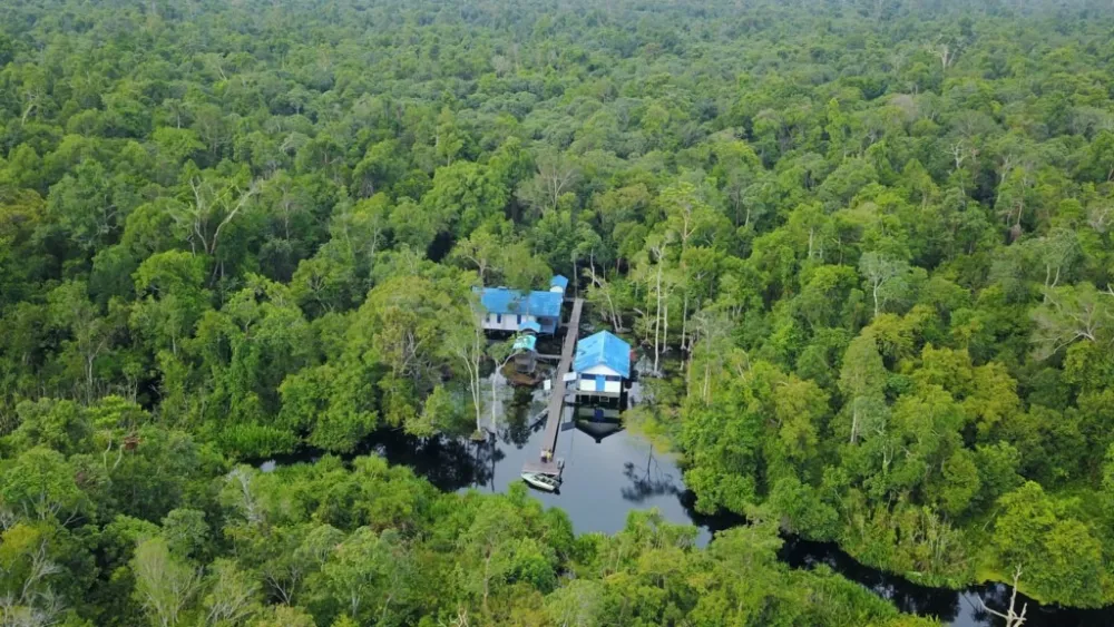 Pesalat Reforestation Area
