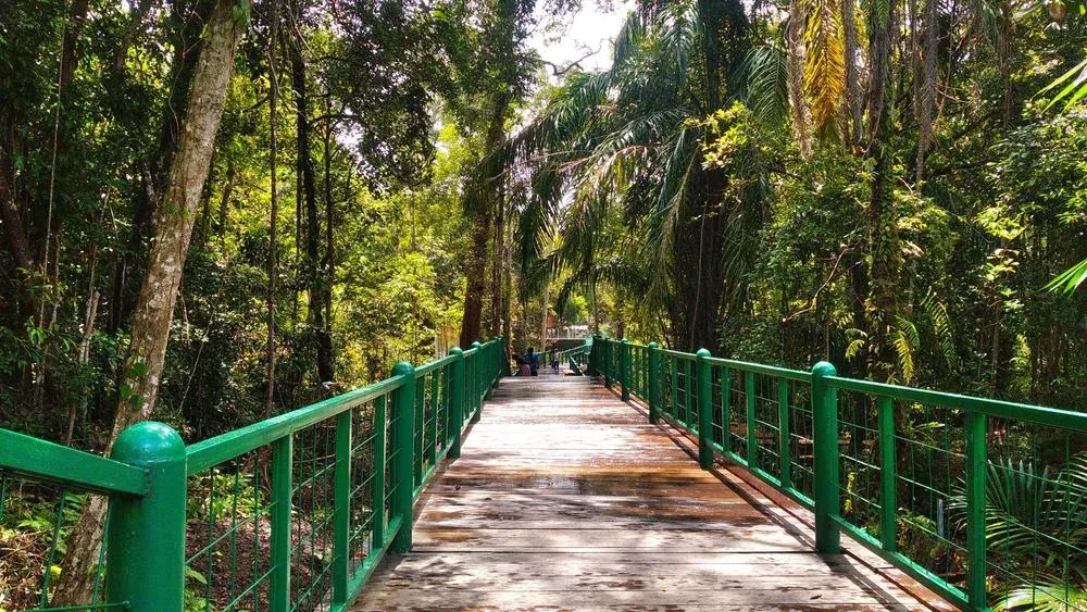 Nyaru Menteng Orangutan Centre