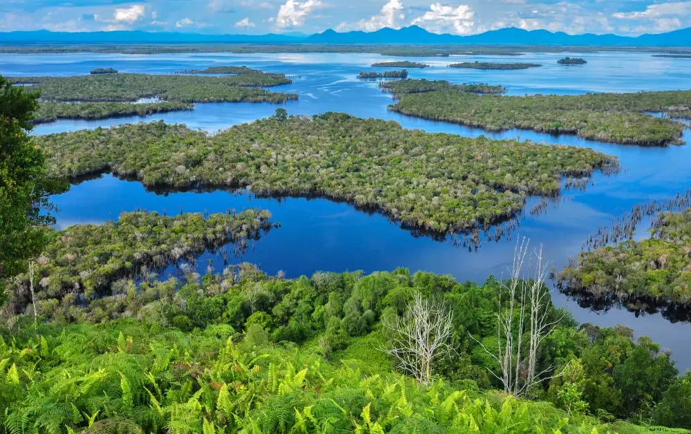 Danau Sentarum National Park