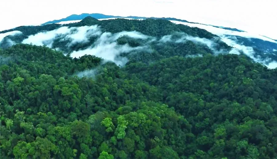 Betung Kerihun National Park