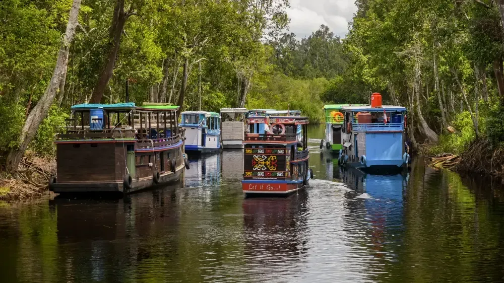 Tanjung Puting National Park