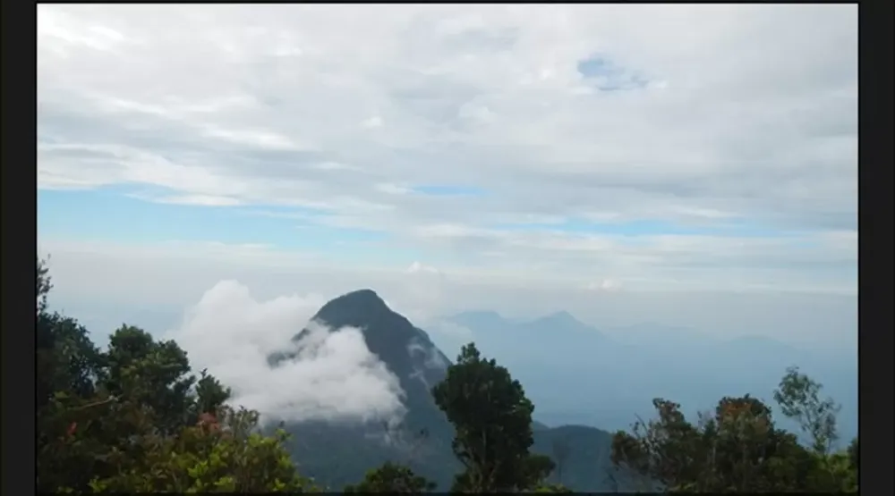 Sintang & Semujan